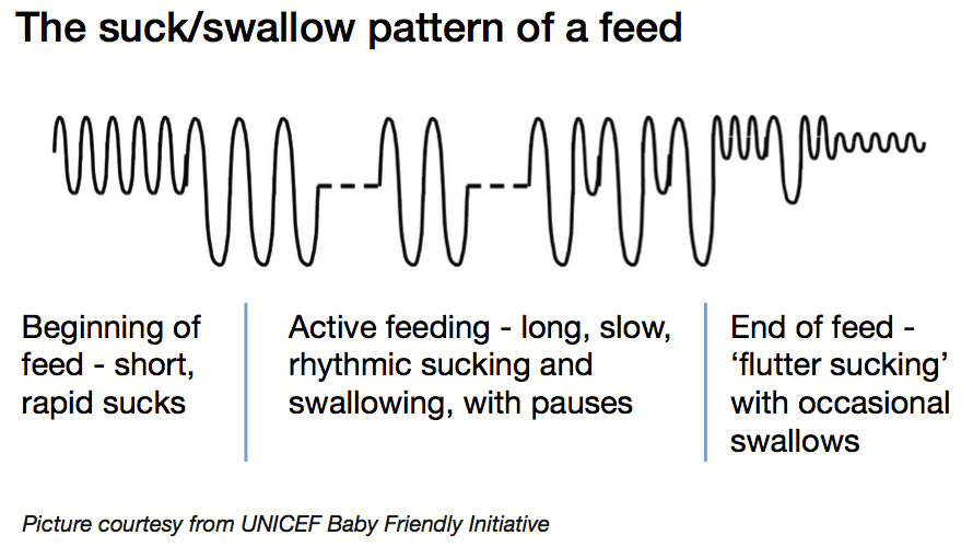 The suck/swallow pattern of a feed